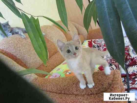 Солнышко Волжский Волгоградской области