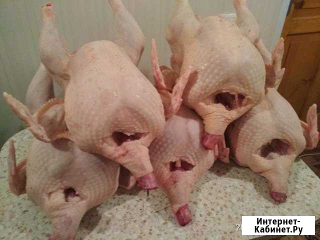 Мясо индейки Борисоглебск - изображение 1