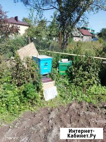 Продам 2 улья Кольчугино - изображение 1