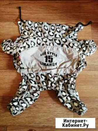 Одежда для собак Пенза