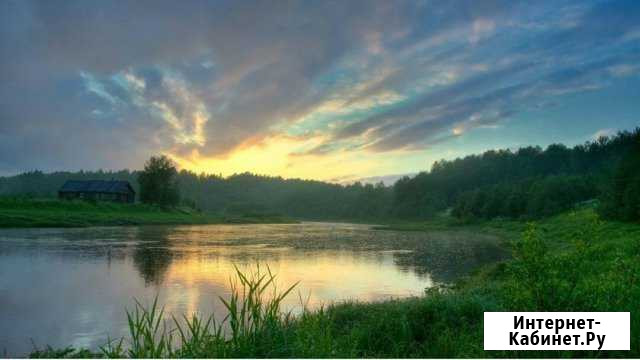 Участок 50 сот. (ИЖС) Выгоничи - изображение 1