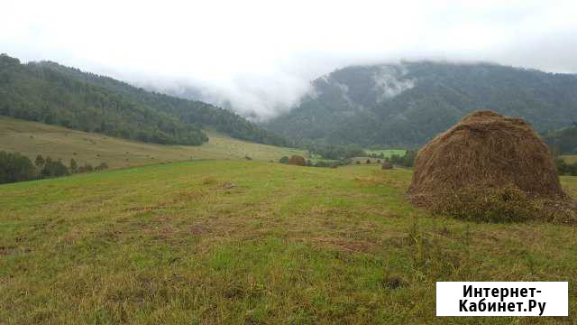 Участок 29.26 га (СНТ, ДНП) Горно-Алтайск - изображение 1