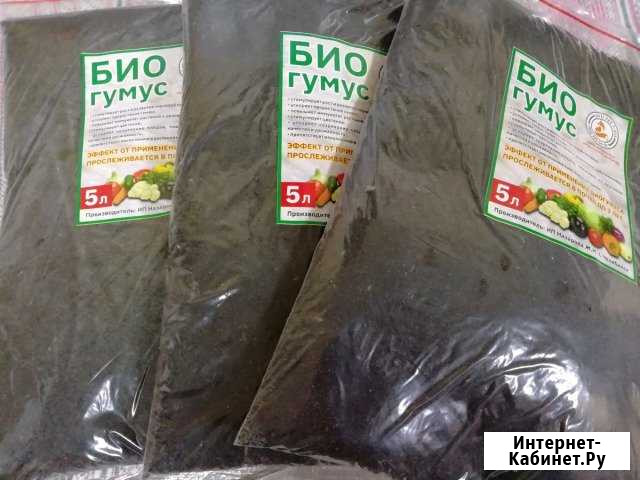 Биогумус Челябинск - изображение 1
