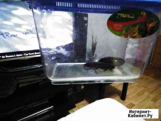 Террариум Новороссийск