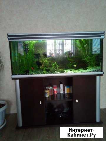Аквариум Aquatlantis Ambiance 120 Туймазы - изображение 1