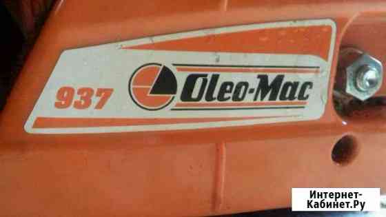 Пила Благовещенск