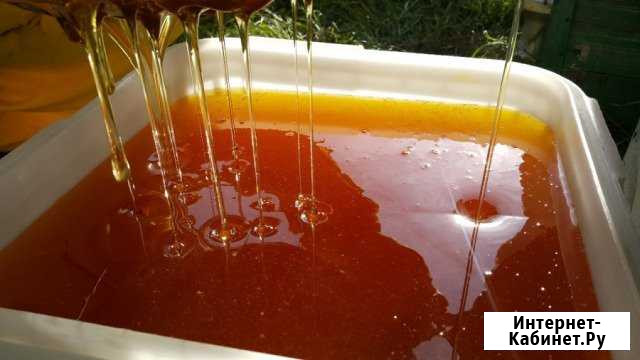 Продаю мёд черноклен, цикорий, липа, осот Екатеринбург - изображение 1