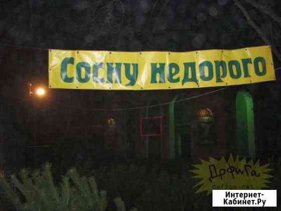 Дрова сухие Петрозаводск