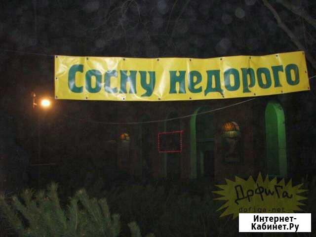 Дрова сухие Петрозаводск - изображение 1