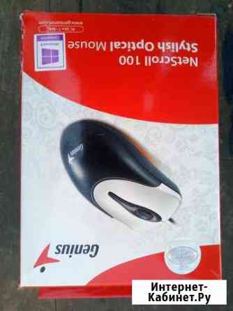 Мышь netscroll 100 genius Оренбург