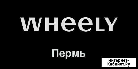 Водитель такси бизнес-класса Пермь - изображение 1