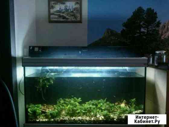 Большой аквариум Aquatlantis 120x50x70 + комплект Коломна