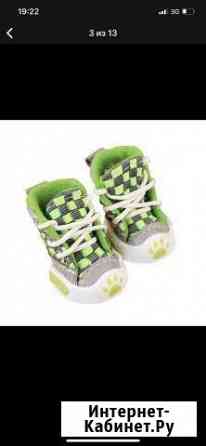 Сапожки для животных Мурманск