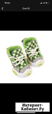 Сапожки для животных Мурманск - изображение 1