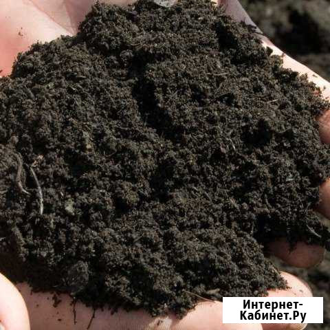 Чернозём, перегной Севастополь - изображение 1