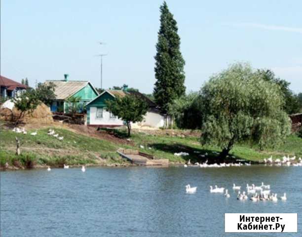 Дом 50 кв.м. на участке 45 сот. Матвеев-Курган - изображение 1