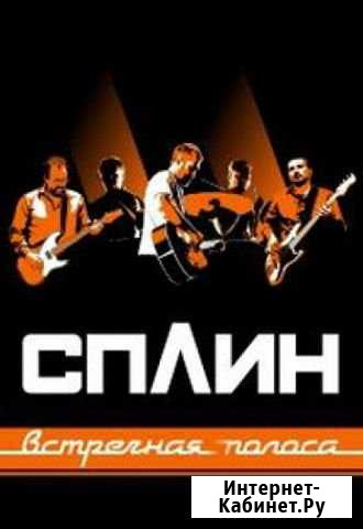Два билета на концерт Сплин Фан-Зона Мурманск - изображение 1