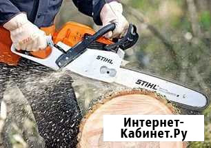 Ремонт бензопил Канск - изображение 1