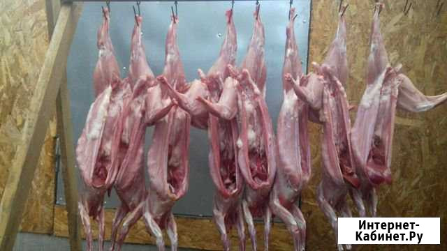 Мясо кролика Пенза - изображение 1