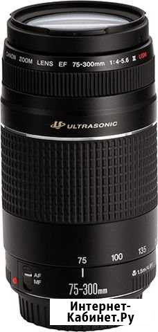 Объектив Canon EF 75-300 F/4-5.6 III USM Лобня - изображение 1