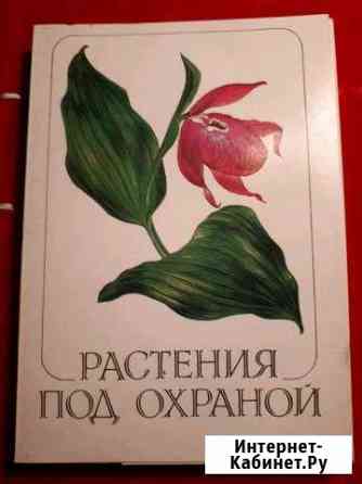 Открытки цветов Люберцы
