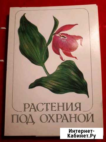 Открытки цветов Люберцы - изображение 1