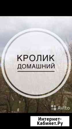 Мясо кролика Выкса
