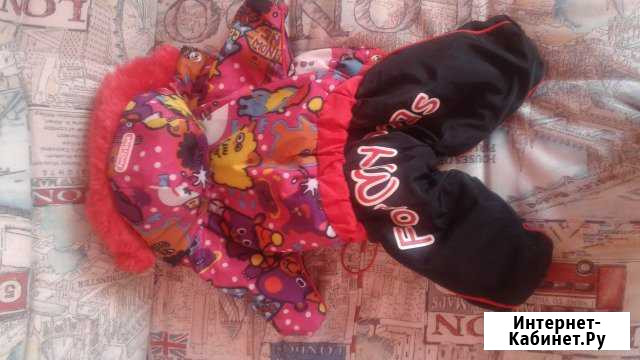 Продам одежду для собаки Хабаровск - изображение 1