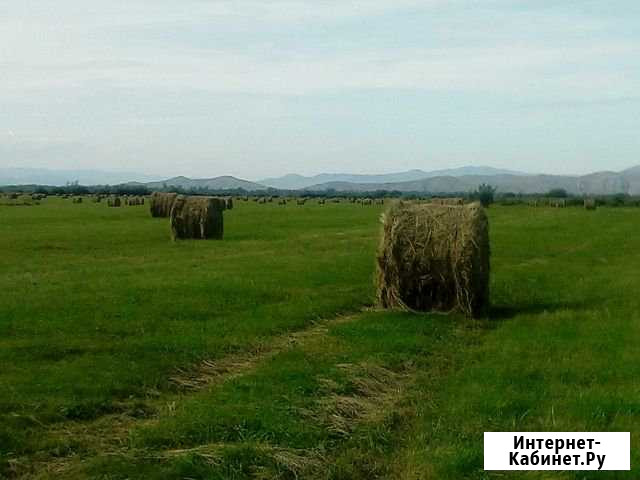 Сено Аскиз - изображение 1