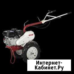 Мотоблок фаворит Сыктывкар - изображение 1
