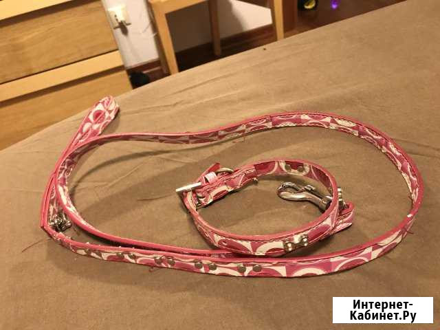 Поводок и ошейник для собаки Казань - изображение 1