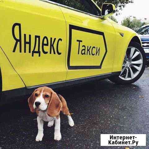 Водитель такси Иркутск