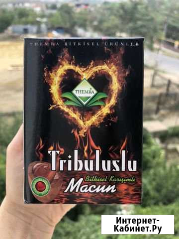 Трибулус терма Буйнакск - изображение 1