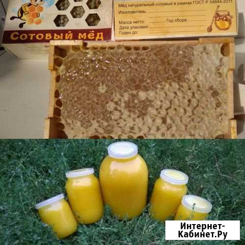 Мёд + сотовый мёд в подарок Ногинск - изображение 1