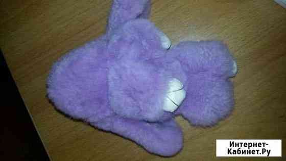 Кролик Биробиджан