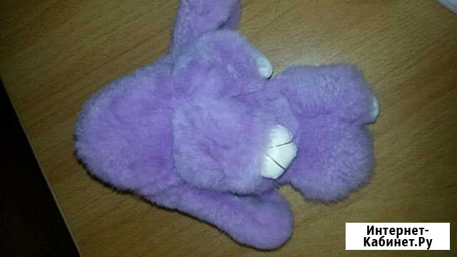 Кролик Биробиджан - изображение 1