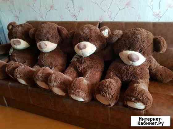 Плюшевые мишки Вологда