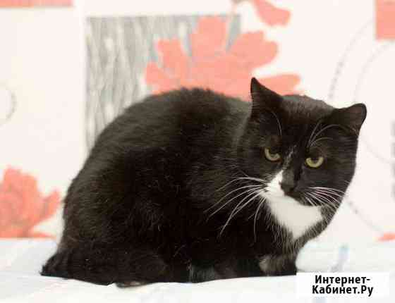 Классика жанра. Глафира Барнаул