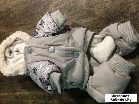 Вещь для собачек Краснодар