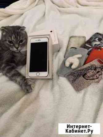 iPhone 8 Серпухов