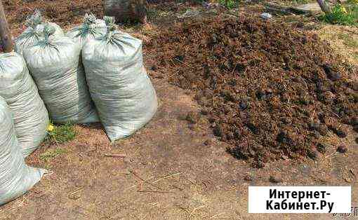 Продам конский. (Навоз перегной ) не опилки Томск