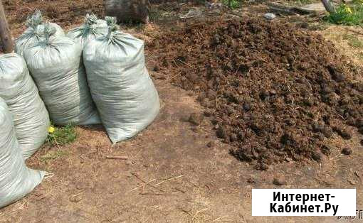 Продам конский. (Навоз перегной ) не опилки Томск - изображение 1