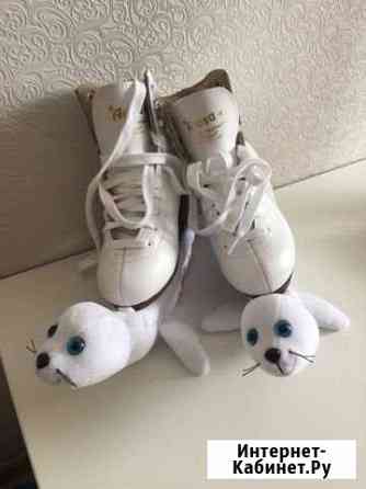 Коньки Тамбов