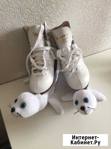 Коньки Тамбов - изображение 1