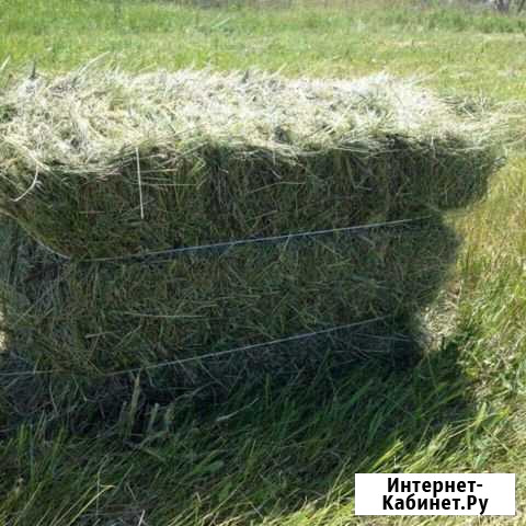 Сено Феодосия - изображение 1