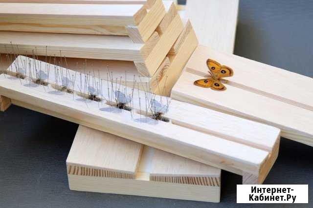 Расправилка для насекомых Череповец - изображение 1