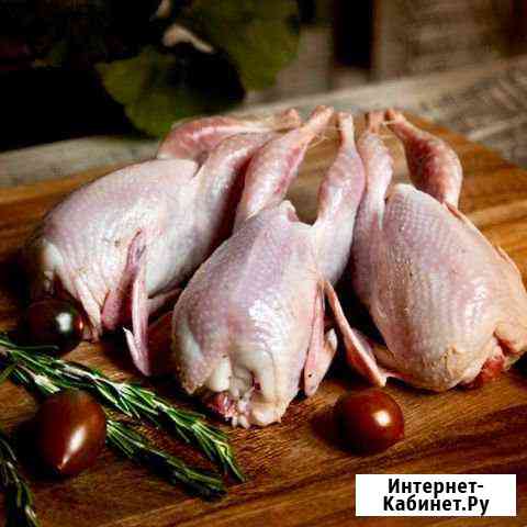 Мясо Перепелов Благовещенск