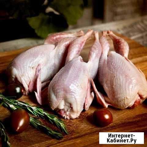 Мясо Перепелов Благовещенск - изображение 1