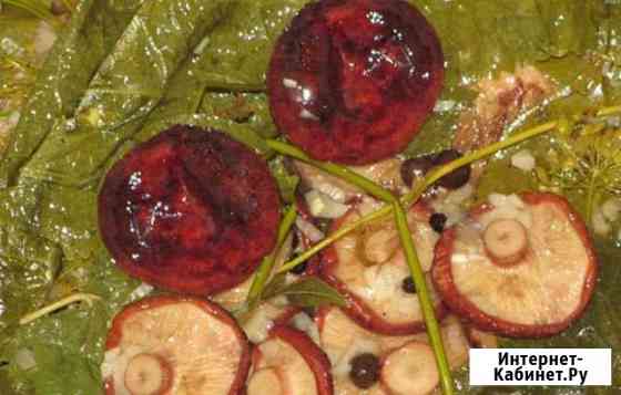 Черные грузди соленые Брянск