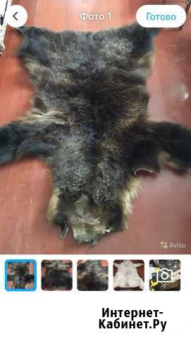 Шкура Сочи - изображение 1